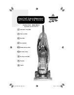 Bissell MOMENTUM CYCLONIC (Spanish) Guía Del Usuario предпросмотр