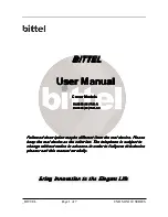 Bittel HA9888(69)TSD-S User Manual preview