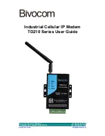 Preview for 1 page of Bivocom TD210 Series User Manual