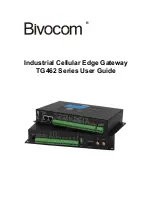 Предварительный просмотр 1 страницы Bivocom TG462 Series User Manual