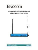 Bivocom TR341-A User Manual preview