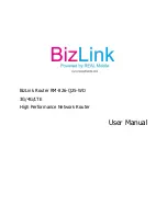 BizLink RM-826-Q25-WD User Manual предпросмотр