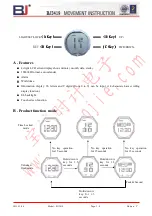 BJ BJ3419 Instructions Manual preview