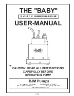 Предварительный просмотр 1 страницы BJM Pumps BABY User Manual