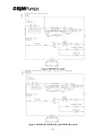 Preview for 11 page of BJM Pumps FAHRENHEIT S-F Seires Installation, Operation & Maintenance Manual