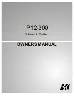 Preview for 1 page of BK Precision P12-300 Owner'S Manual