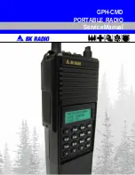 BK Radio GPH-CMD Service Manual предпросмотр