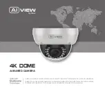 Bkav AI View P450-0802GN Manual предпросмотр