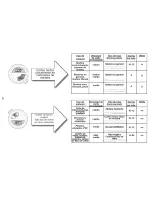 Preview for 29 page of Black & Decker ACCU-TRAK SAW SCS600 Instruction Manual