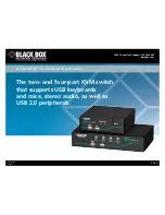 Black Box 26611 Datasheet preview