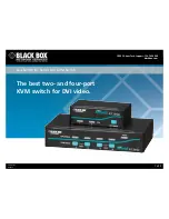 Black Box 26615 Datasheet предпросмотр