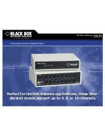 Black Box 38891 Specifications preview