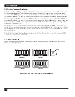 Preview for 20 page of Black Box 488 Controller Manual