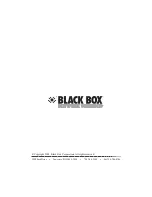 Black Box AVS1000 Manual preview