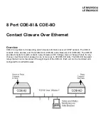 Black Box COE-8I Manual preview