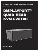 Preview for 1 page of Black Box DISPLAYPORT KV4402A Quick Start Manual And User Manual