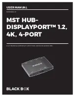 Black Box DPMSTHUB-4P User Manual предпросмотр