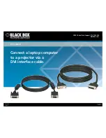 Black Box DVI Cables Manual preview