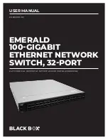 Black Box EMS100G32-R2 User Manual предпросмотр