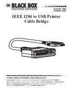 Предварительный просмотр 2 страницы Black Box EQN500-0006 Manual