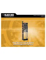 Black Box EXPANDABLE CABLE MANAGEMENT RACK RM1400A Manual предпросмотр