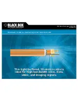 Black Box Fiber Optic Bulk Cable Specifications preview