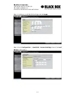 Preview for 133 page of Black Box Firetunnel 30 LRE1030E User Manual