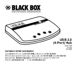 Black Box IC147A Manual предпросмотр