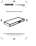 Black Box IC500A Manual предпросмотр