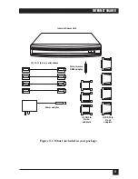 Предварительный просмотр 10 страницы Black Box Internet Sharer FX850A Manual