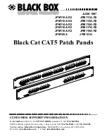 Preview for 2 page of Black Box JPM110A-R2 Manual