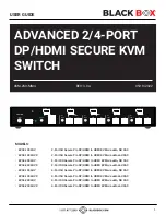 Black Box KVS4-1002HV User Manual preview