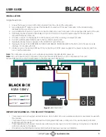 Предварительный просмотр 6 страницы Black Box KVS4-1002V User Manual