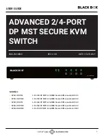 Black Box KVS4-1002VM User Manual предпросмотр