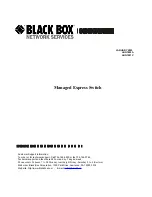 Black Box LBG1000A Manual предпросмотр