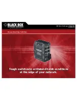 Black Box LBH100A-PD-ST-24 Specifications предпросмотр