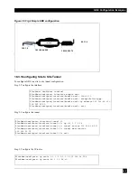 Preview for 101 page of Black Box LR1102A-T1/E1 User Manual