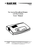 Предварительный просмотр 2 страницы Black Box LRB500A User Manual