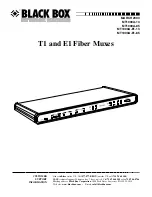 Black Box MT1000A-13 User Manual preview