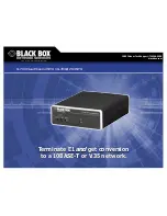 Black Box MT330A Specifications предпросмотр