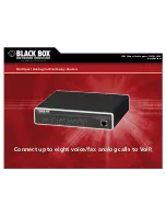 Black Box Multiport Analog VoIP Gateway Router VOE231A Brochure & Specs preview