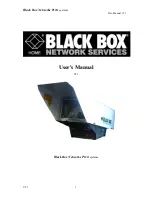 Black Box Pico Ethernet User Manual предпросмотр