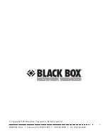 Black Box Programmable Security Guard Manual preview