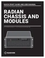 Preview for 1 page of Black Box Radian Flex VWP-1182 Series Quick Start Manual And User Manual