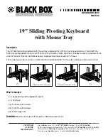 Black Box RMT385 Quick Start Manual preview