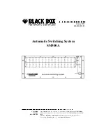 Black Box SM500A Manual предпросмотр