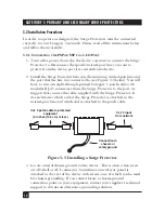 Предварительный просмотр 11 страницы Black Box SP250A User Manual