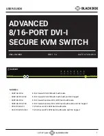 Black Box SS16P-SH-DVI-U User Manual предпросмотр