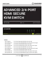 Black Box SS2P-DH-HDMI-U User Manual предпросмотр