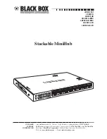 Black Box Stackable MiniHub Manual предпросмотр